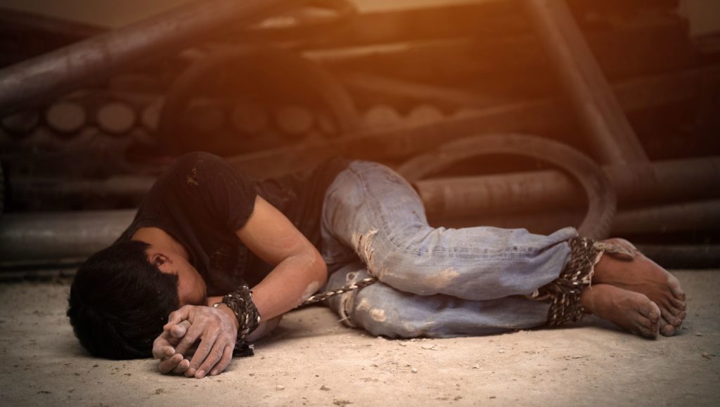 fear emotion paralysis