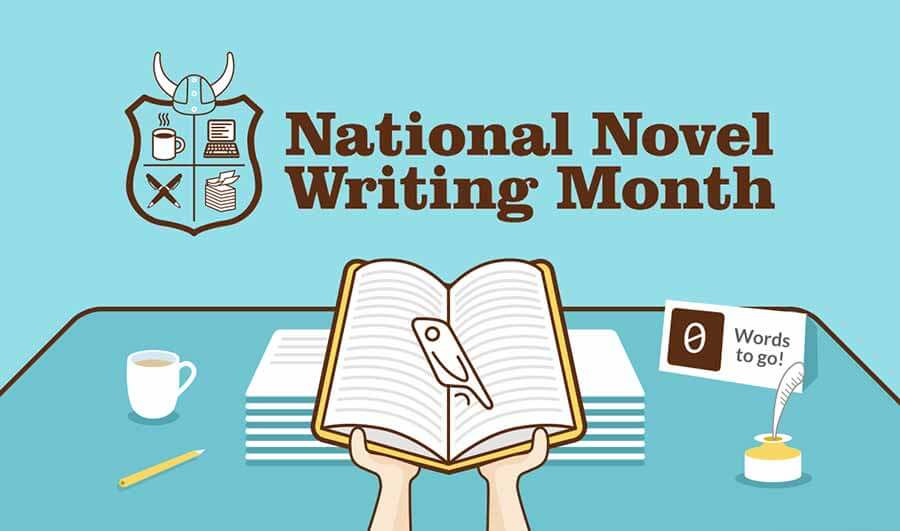 NaNoWriMo - 30 day novel