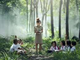 role models learning i wish i knew